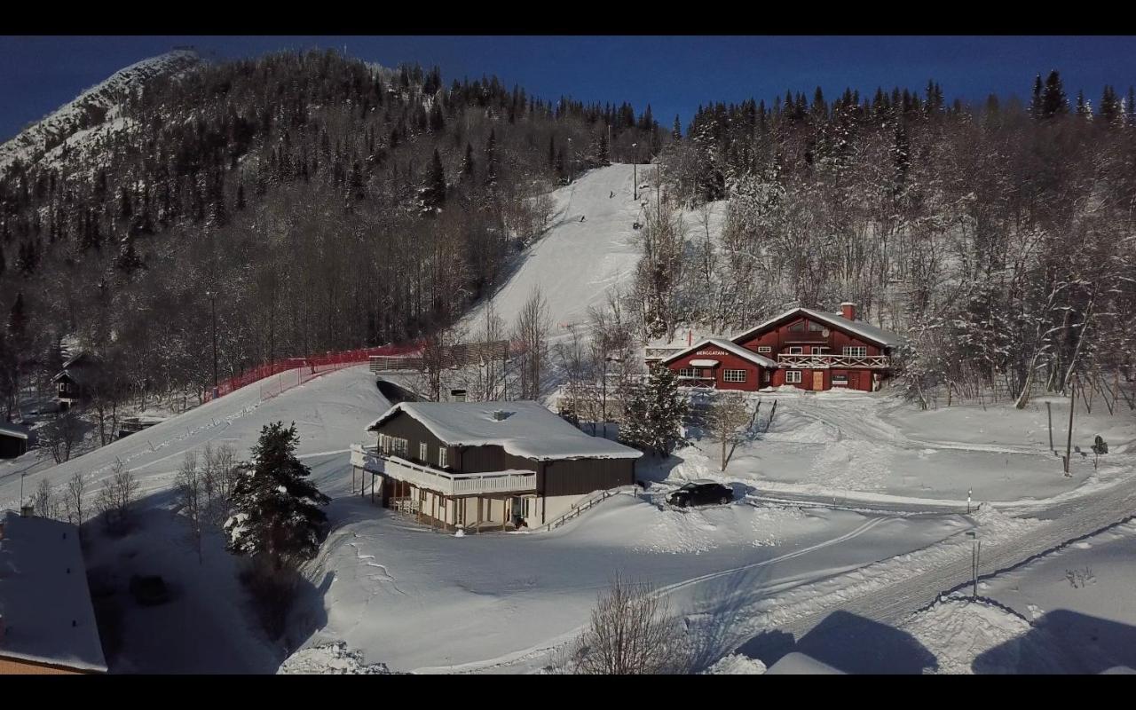 Berggatan Villa - Lagenhet 1 Funäsdalen Esterno foto